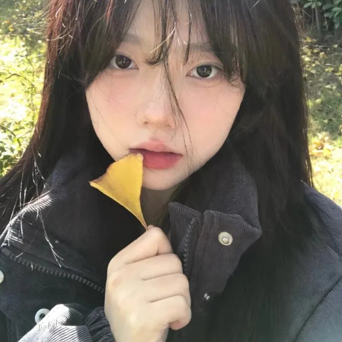 亲爱的罗梦娜！
