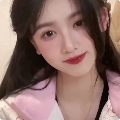 鸽之翼